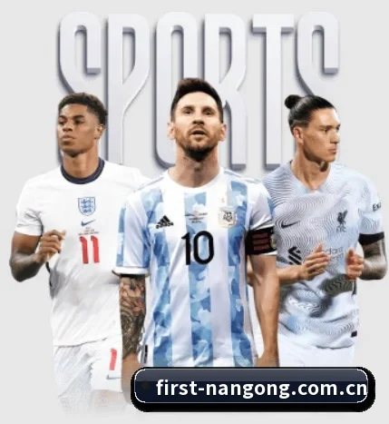 五大服务分区,信息按项目分类